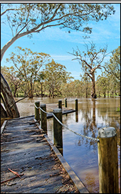 Homestead Kitchen Grampians Cooking